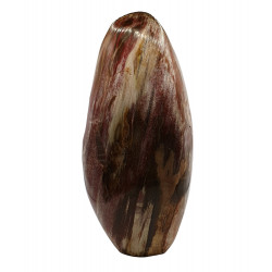 Petrified Wood Free Form