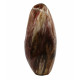 Petrified Wood Free Form
