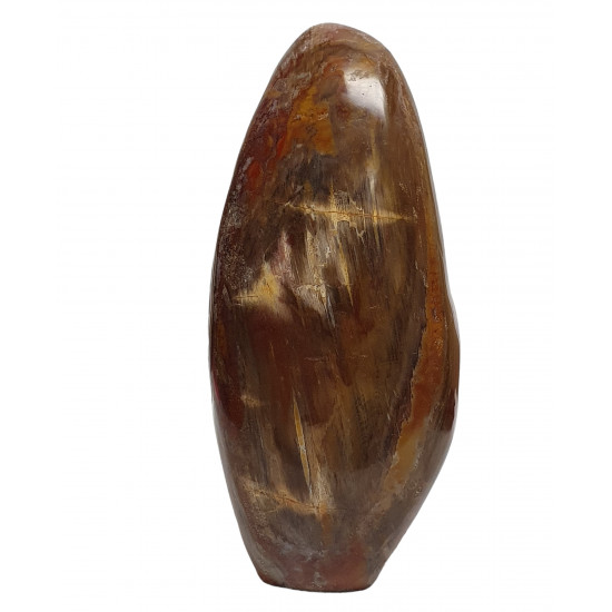Petrified Wood Free Form