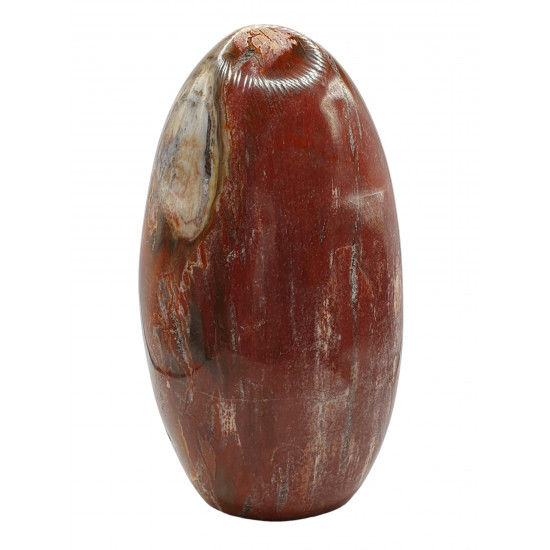 Petrified Wood Free Form