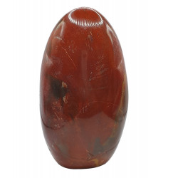 Petrified Wood Free Form