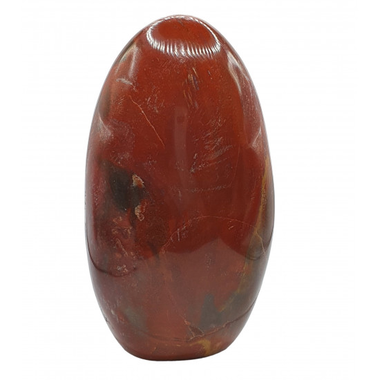 Petrified Wood Free Form