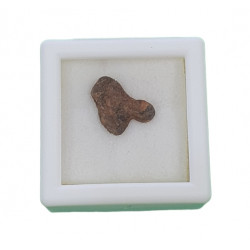 meteorite canyon diablo