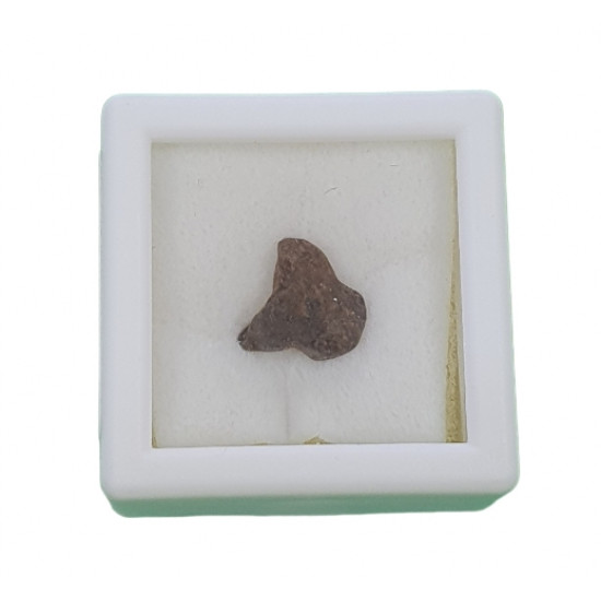 meteorite canyon diablo
