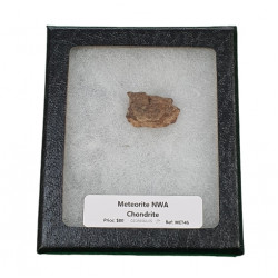 meteorite NWA chondrite