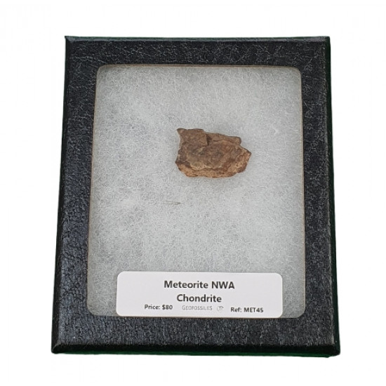 meteorite NWA chondrite