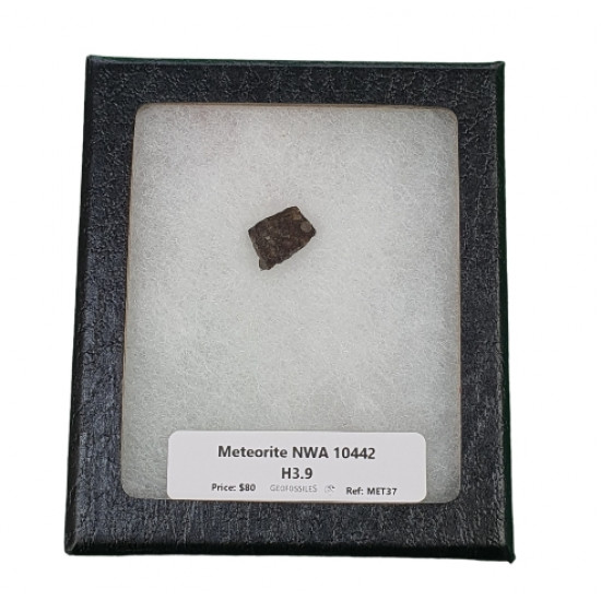 meteorite NWA10442