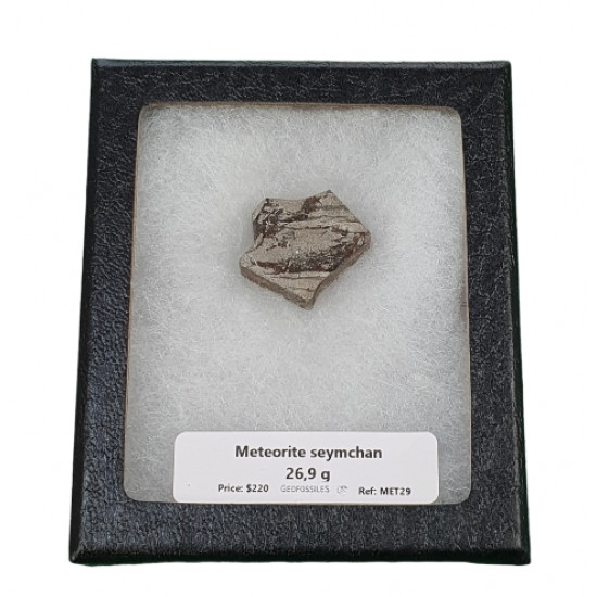 meteorite seycham