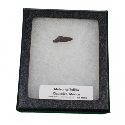 meteorite tollica