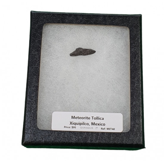 meteorite tollica