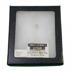 meteorite lunar NWA11421
