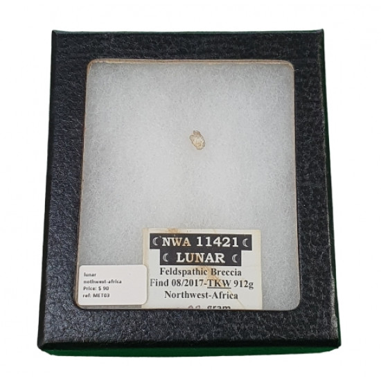 meteorite lunar NWA11421