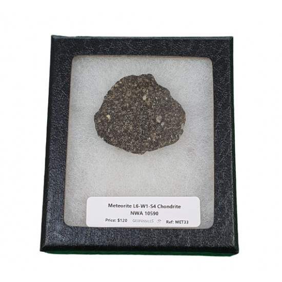 meteorite L6-W1-S4 chondrite NWA10590