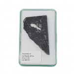 meteorite chondrite L5