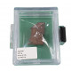 meteorite agoudal