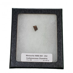 meteorite NWA801 CR2