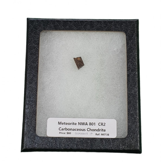 meteorite NWA801 CR2