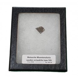 meteorite Muonionalusta