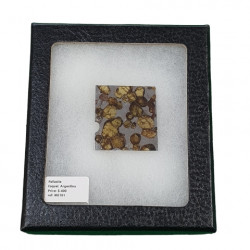 meteorite pallasite esquel