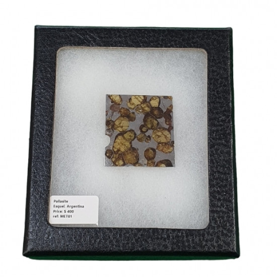 meteorite pallasite esquel