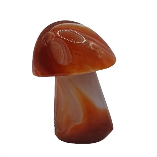 Mushroom carnelian 5 cm