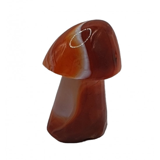 Mushroom carnelian 5 cm