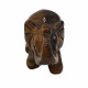 elephant tigers eye