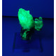 Hyalite opal on chalcedony