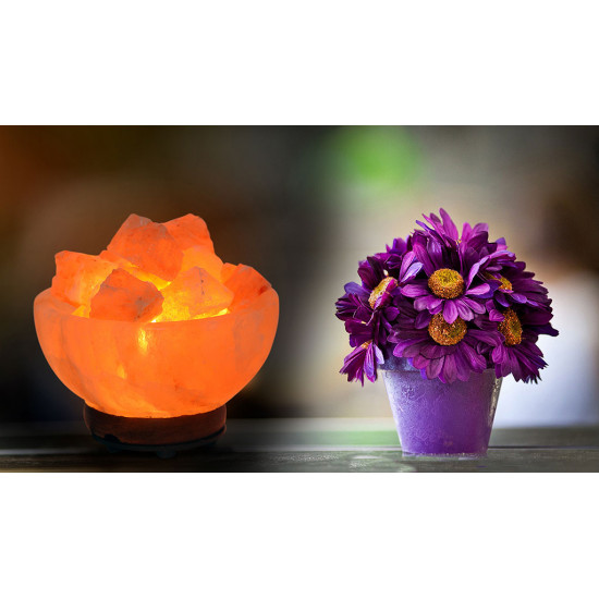 Fire Chunk Bowl salt Lamp