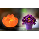 Fire Chunk Bowl salt Lamp