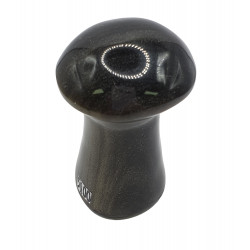 champignon obsidienne doree