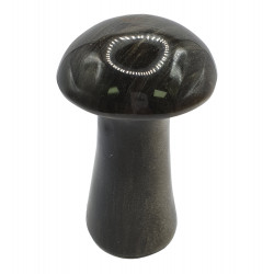 champignon obsidienne doree