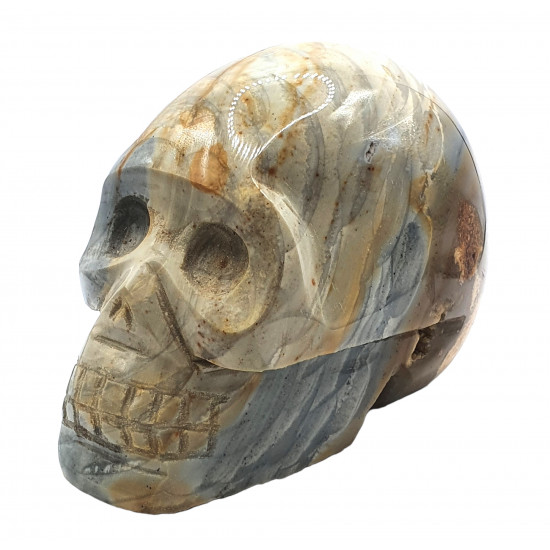 Skull agatized jasper
