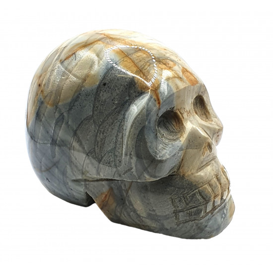 Skull agatized jasper