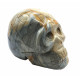 Skull agatized jasper