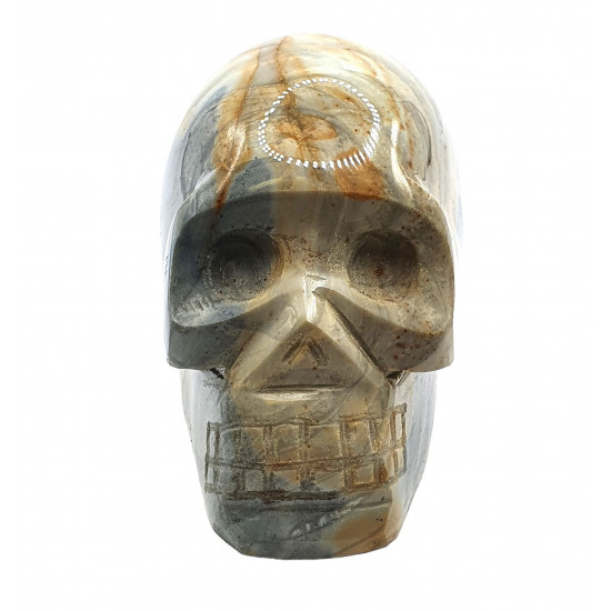 Skull agatized jasper