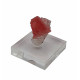 Rhodochrosite sweet home mine