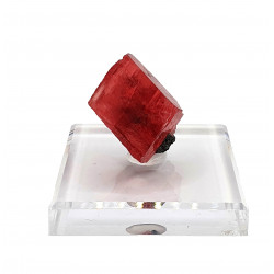 Rhodochrosite sweet home mine