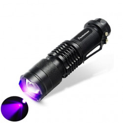 UV Flashlight