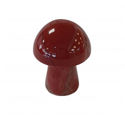 champignon jaspe rouge