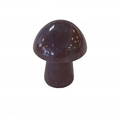 champignon jaspe ocean