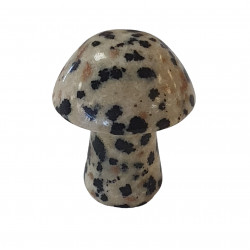 champignon jaspe dalmatien