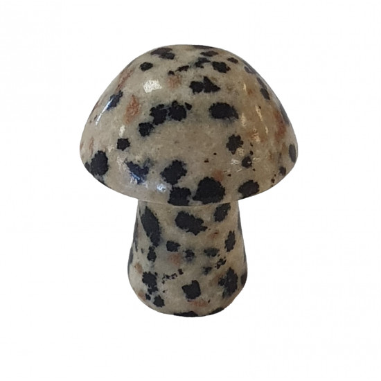 mushroom dalmatian jasper