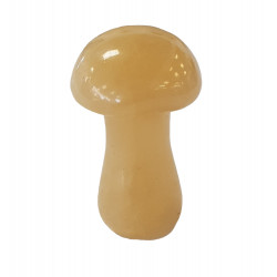 champignon calcite
