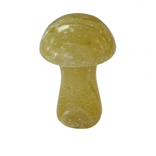 mushroom serpentine
