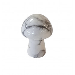 champignon magnesite