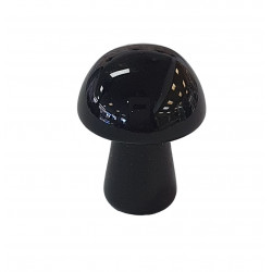 champignon onyx noire
