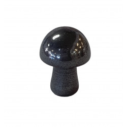 champignon hematite