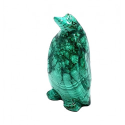 pingouin malachite