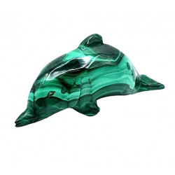 dolphin malachite